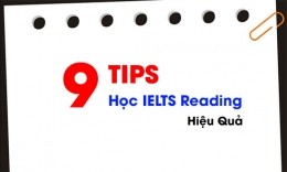 9 Tips học IELTS Reading hiệu quả