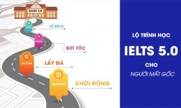 Lộ trình học IELTS 5.0 toàn diện cho người mất gốc